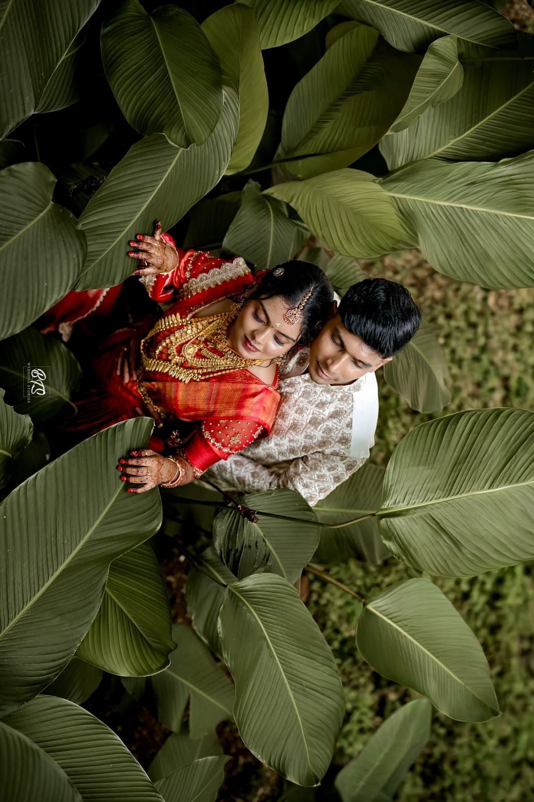 Wedding Celebration